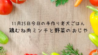 11 28 今日の老犬ごはん 鶏むねミンチ肉のふわふわお好み焼き わんこ飯 Com